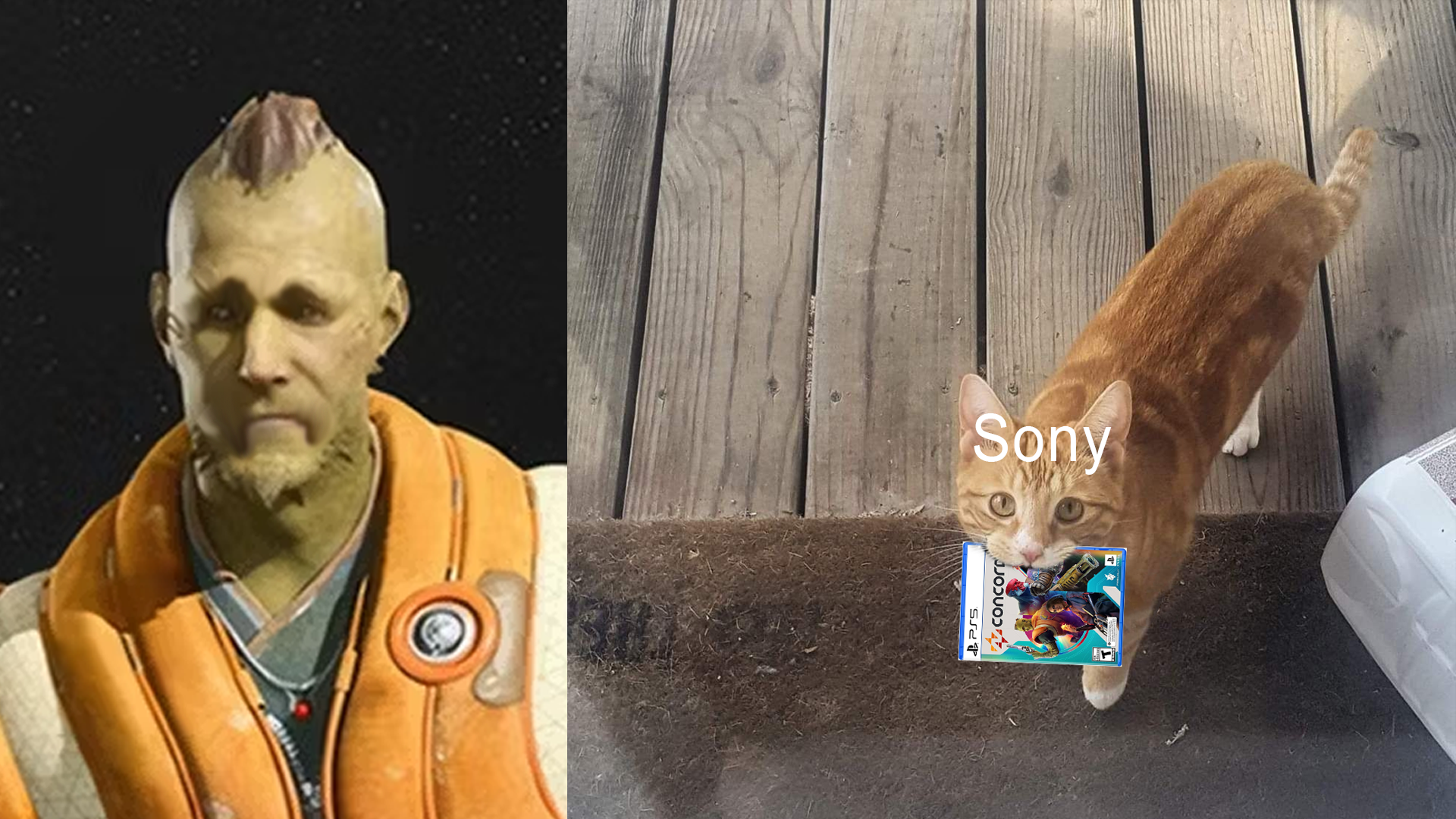 SONY GAVE US CONCORD LIKE A CAT BRINGS YOU A DEAD BIRD
